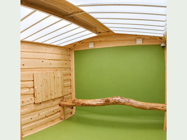 Themed photo house — detail