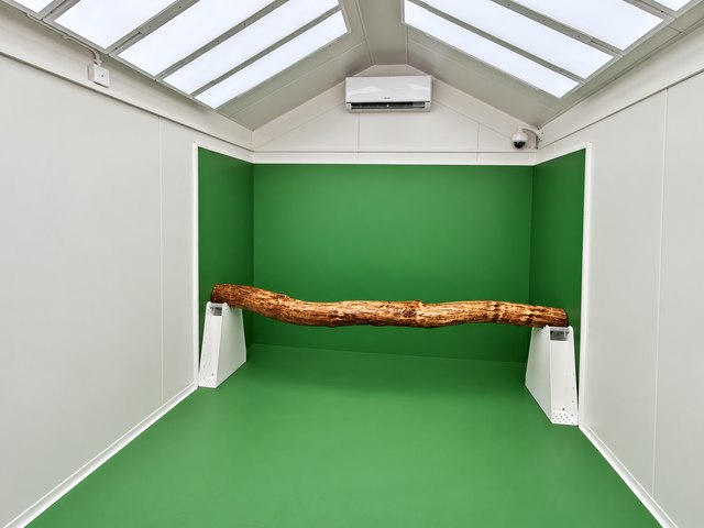 Green-screen room with themed bench